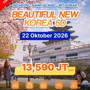 6D BEAUTIFUL NEW KOREA